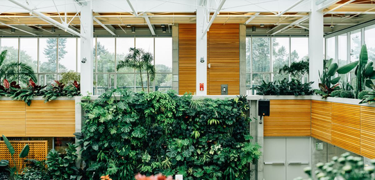 oscar219flores@icloud.com