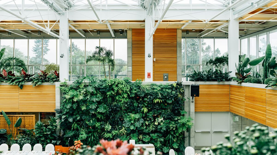 oscar219flores@icloud.com